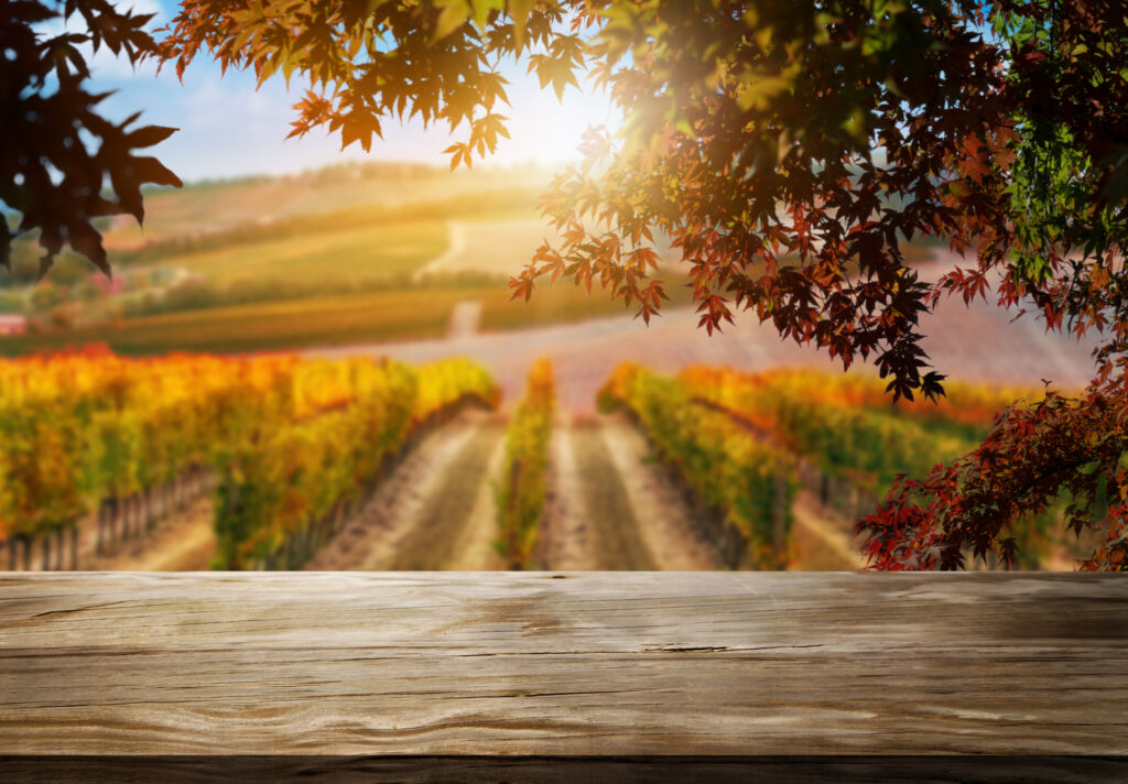 Farm field in a seasonal sunset.