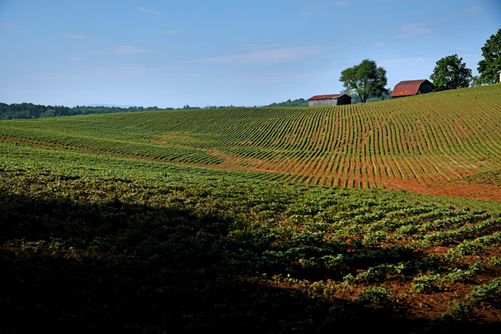 Crop Land in Western North Carolina