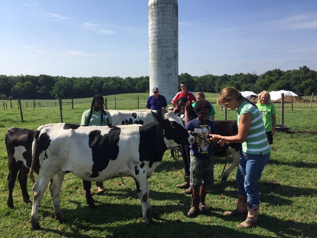 Kids with a cow on a farm.