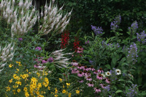 Cover photo for Register Now for a Summer Tour of the Pollinator Paradise Garden!